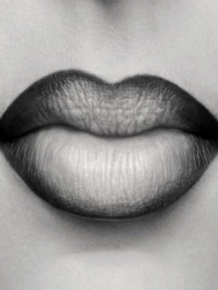 Картинка губки боьа и его длмп