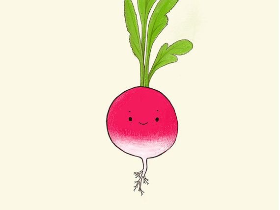 Редиска с глазками