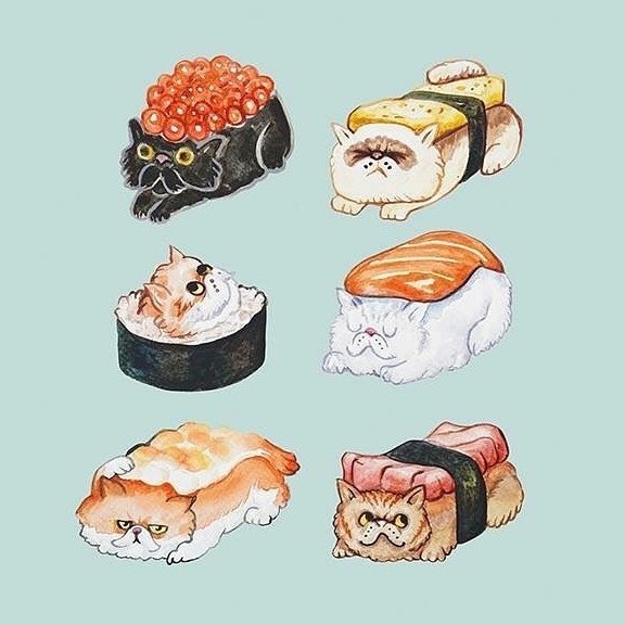 Роллы рисунок