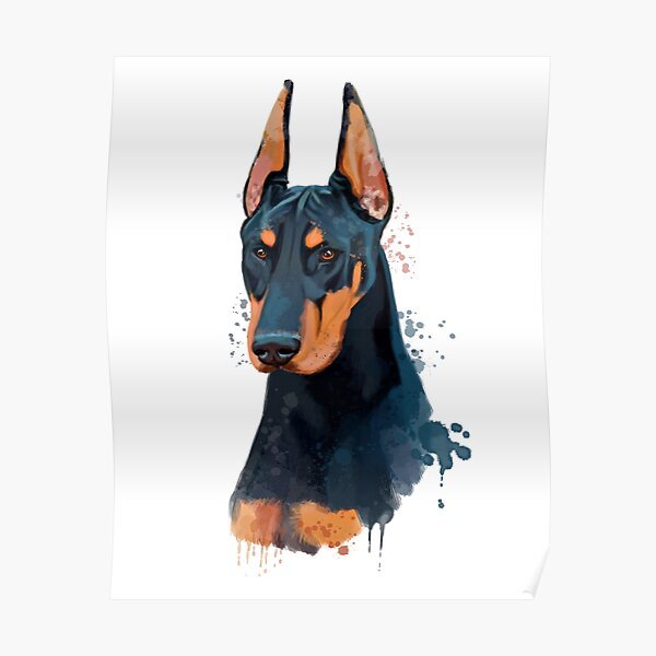 Блокнот с доберманом