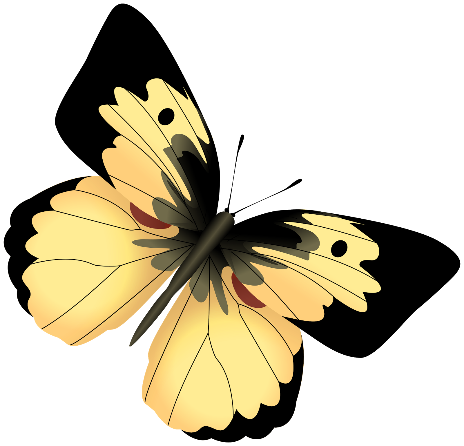 Картинки на прозрачном фоне. Бабочки на белом фоне. Бабочки на просроченном фоне. Желтая бабочка на прозрачном фоне. Желтая бабочка на белом фоне.
