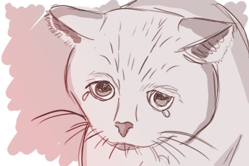 Анимешная мордочка кота