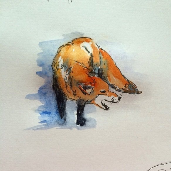 Несчастная лиса