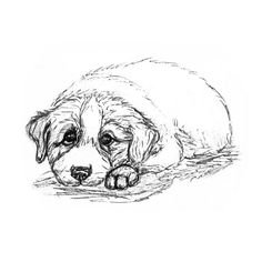 Бездомная собака раскраска