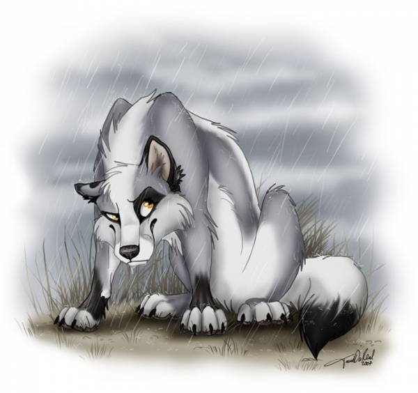 Волчицы мультяшные