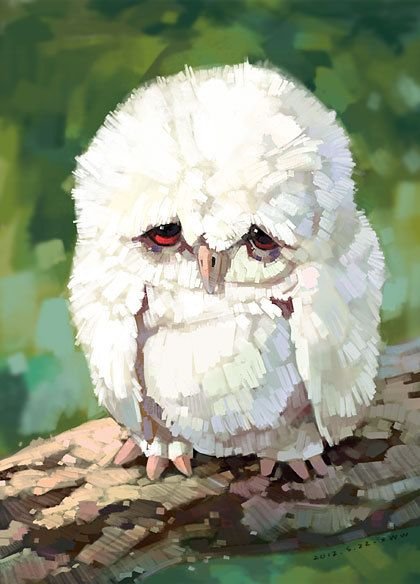 Художник Wawa Xue