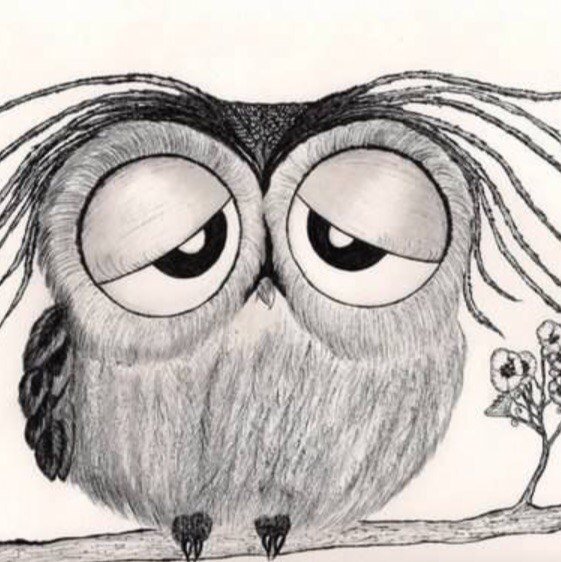 Грустная Совушка