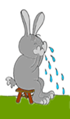 Плачущий заяц