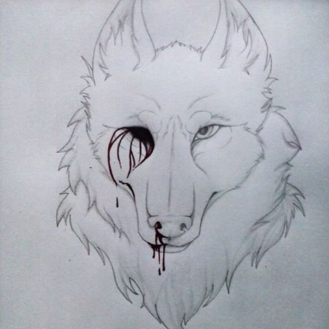 Рисунки карандашом для срисовки грустные волки