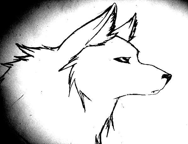 Рисунки для срисовки волки легкие