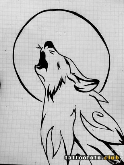 Срисовка волка карандашом лёгкие