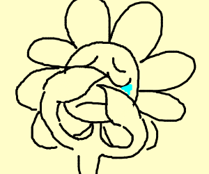 Плачущий цветочек