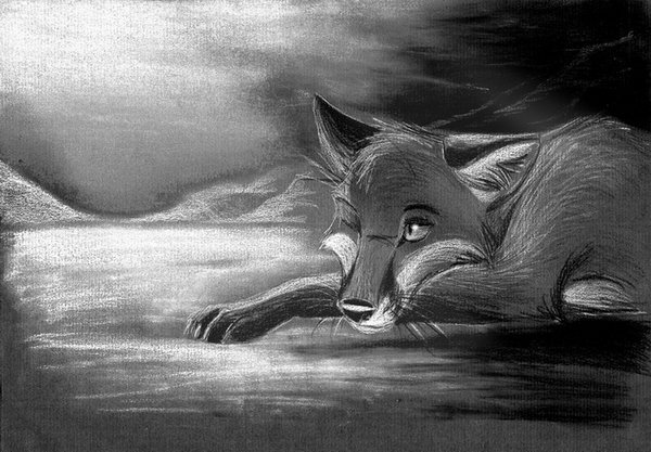 Грустный черный Лис