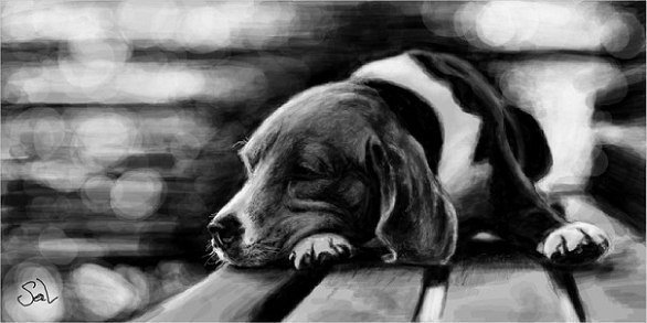 Собака с грустными глазами рисунок