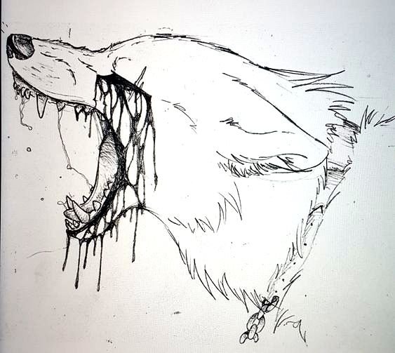 Скетчинг волк