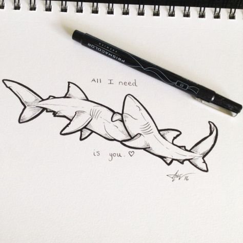 Милые акулы для срисовки