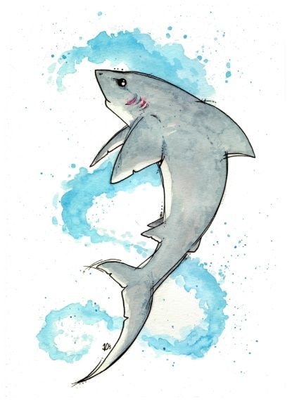 Рисунок акулы для срисовки