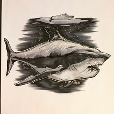 Скетчбук. Акулы