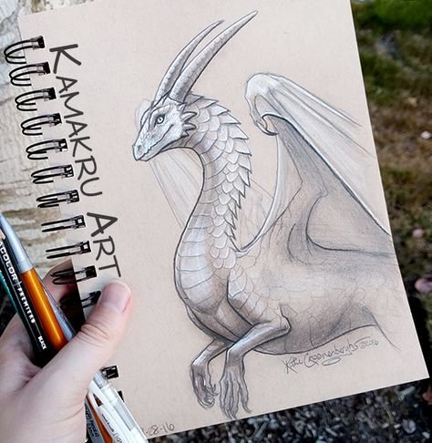 Polina Andreeva рисунки эрагон