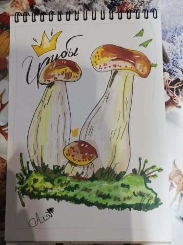 Рисунки маркерами для срисовки грибы