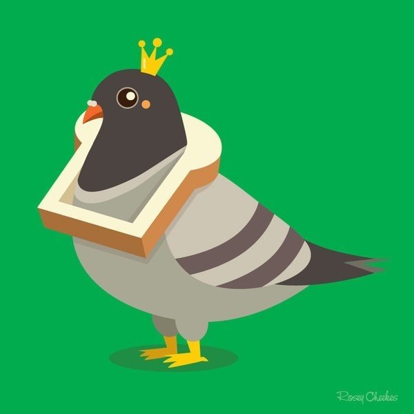 Король голубей