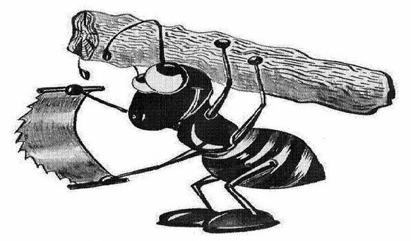 Грустный муравей