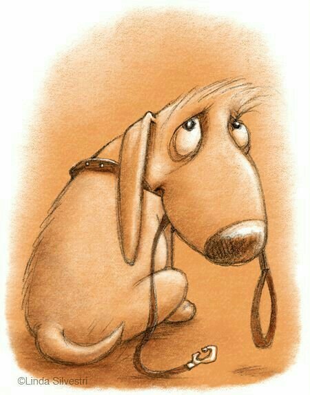 Такса плачет