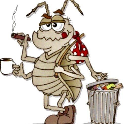 Таракан прикольный