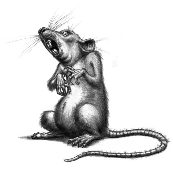 Крысы мультяшные страшные