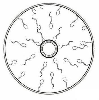 Раскрасить диски