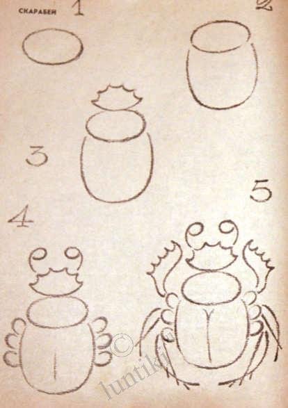 Поэтапный рисунок жука