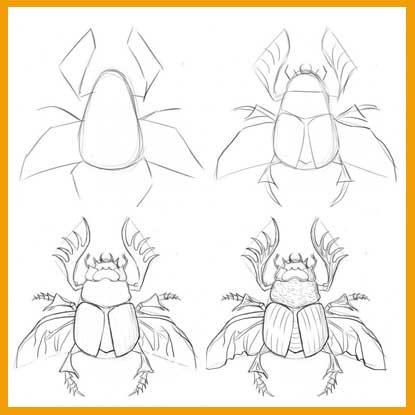 Поэтапное рисование жука