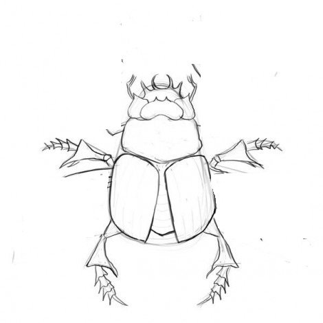 Майский Жук карандашом