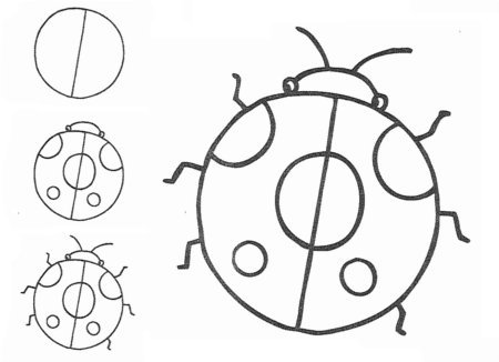 Поэтапное рисование жука