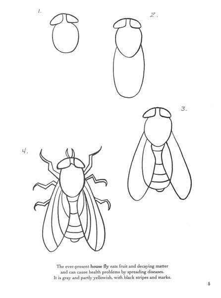 Муха рисунок поэтапно