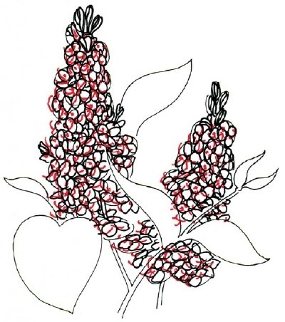 Рисунки сирени карандашом для детей легкие