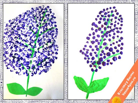 Сирень рисунок легкий