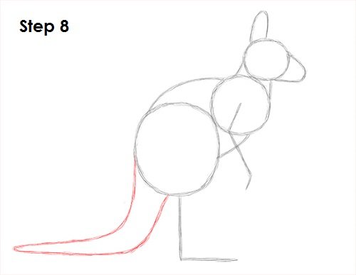 Этапы рисования кенгуру