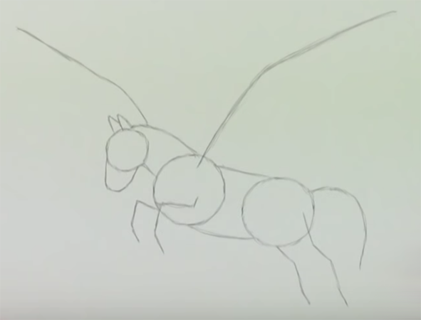 Как нарисовать Пегаса поэтапно