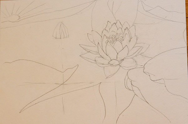 Рисунок по этапно Лотос орехоносный