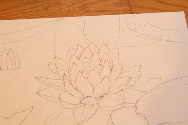 Лотос рисунок карандашом