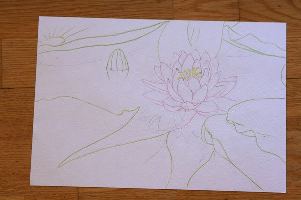 Поэтапное рисование цветка Лотос 2