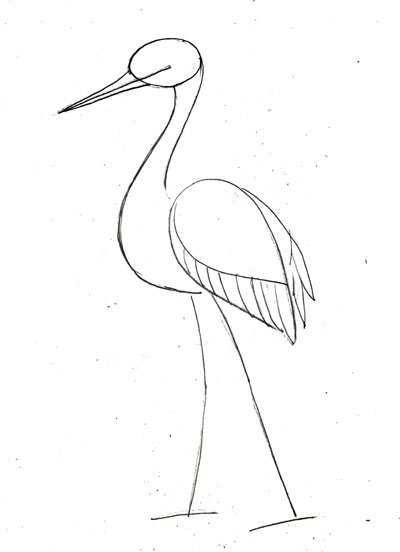 Поэтапное рисование аиста для детей