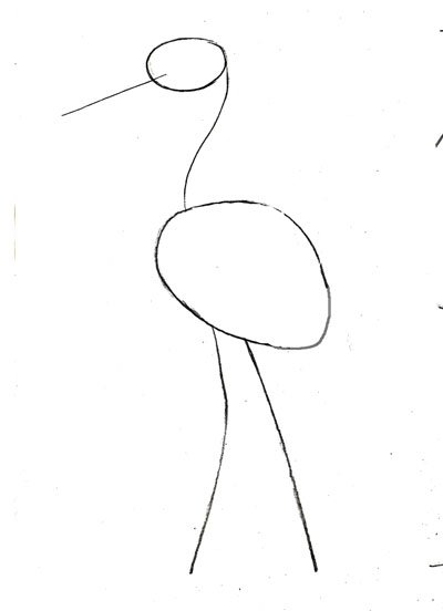 Поэтапное рисование аиста