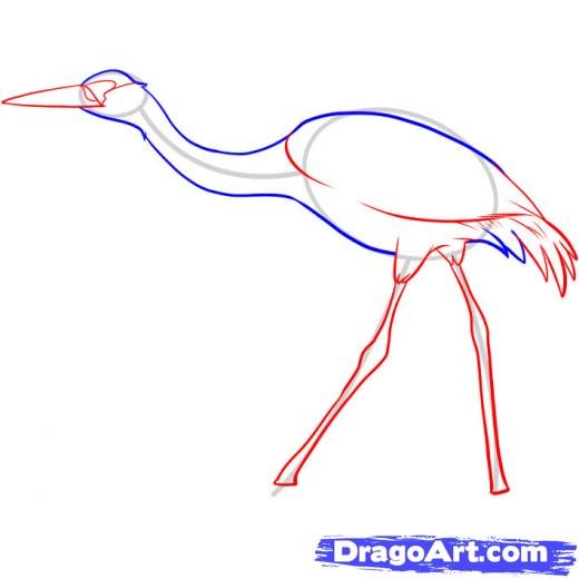 Стерх поэтапное рисование