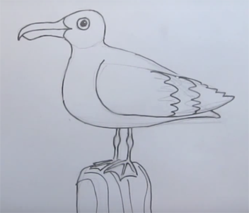 Чайка нарисовать легко