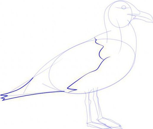 Чайка поэтапно