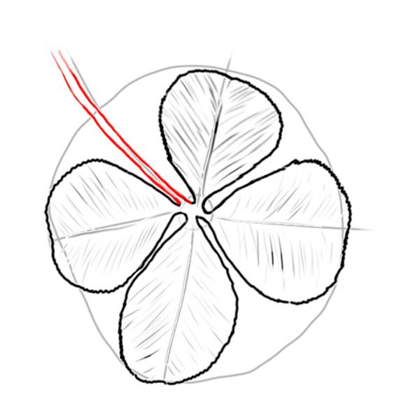 Клевер четырехлистный нарисовать поэтапно