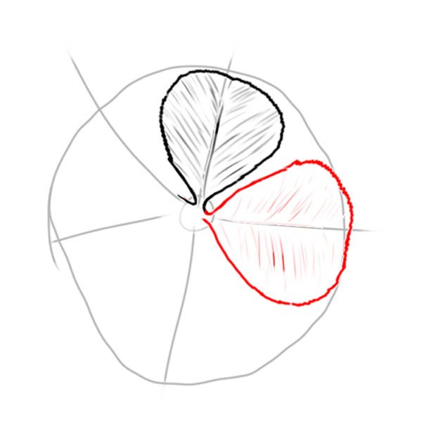 Рисунок Клевер карандашом по шагам