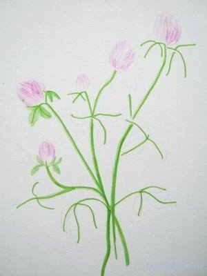 Клевер пошагово